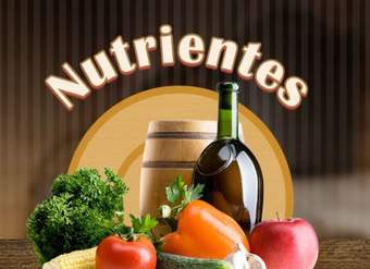 Nutrientes