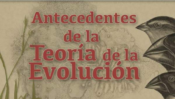 Antecedentes de la teoría de la evolución