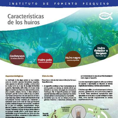 Características de los huiros.