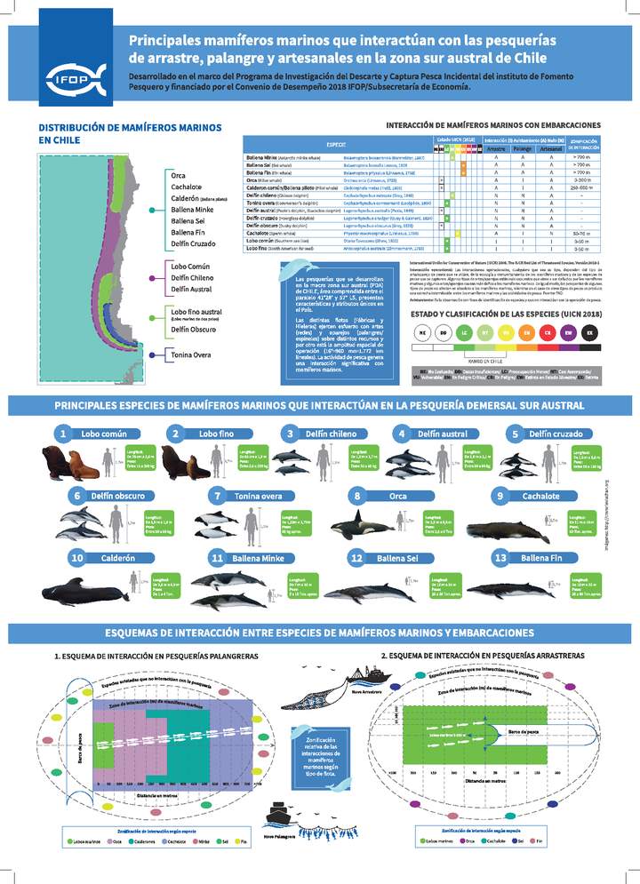 Principales mamíferos marinos que interactúan con las pesquerías de arrastre, palangre y artesanales en la zona sur austral de Chile