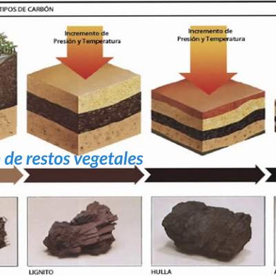 Rocas sedimentarias