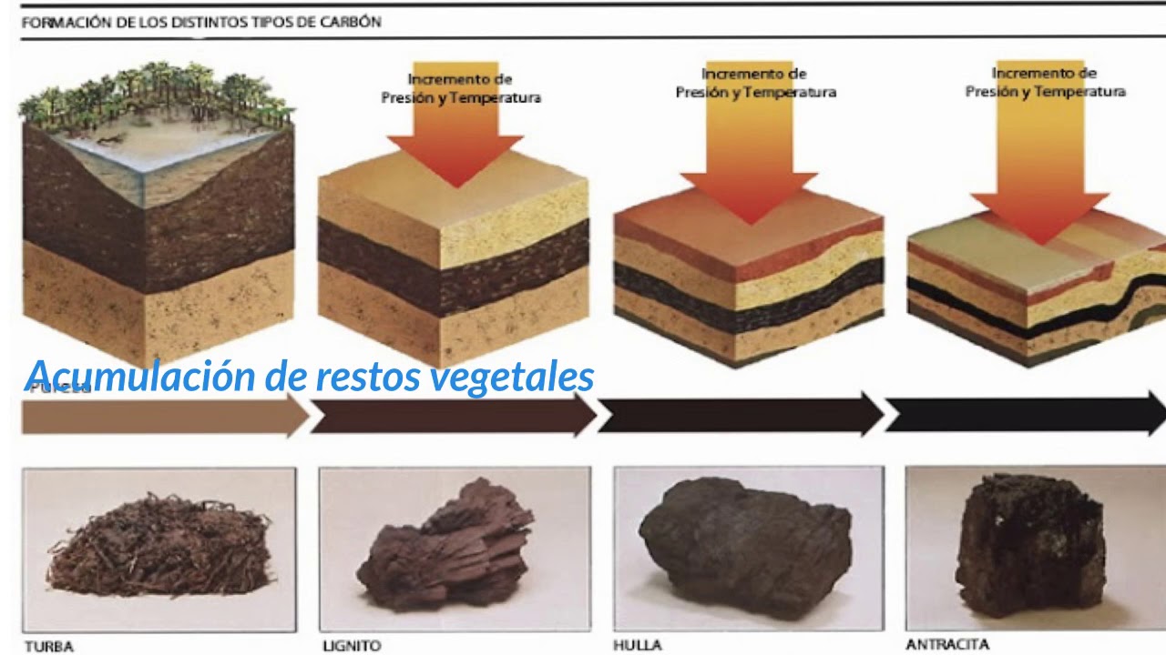 Rocas sedimentarias