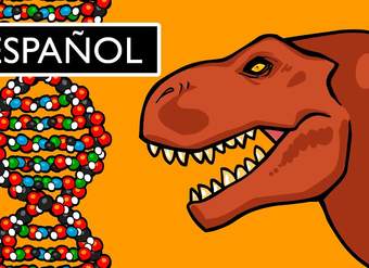 ¿Qué es el ADN y Cómo Funciona?