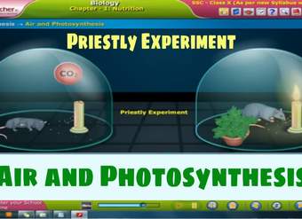 Air and Photosynthesis - Nutrition, Class 10 Biology | SSC