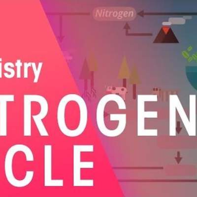 The Nitrogen Cycle | Chemistry for All | FuseSchool