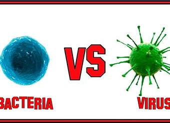 La Diferencia Entre Bacteria y Virus.