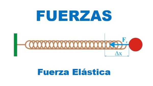 Fuerza elástica