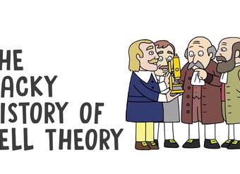 The wacky history of cell theory - Lauren Royal-Woods