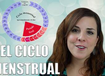 EL CICLO MENSTRUAL:  fases del ciclo, ovulación y menstruación