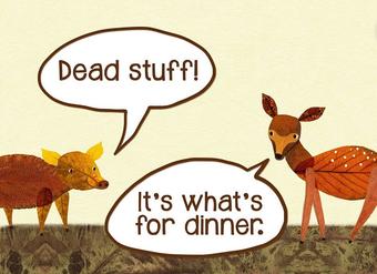 Dead stuff: The secret ingredient in our food chain - John C. Moore