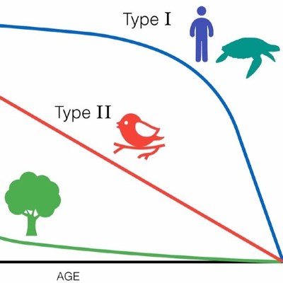 Population Ecology