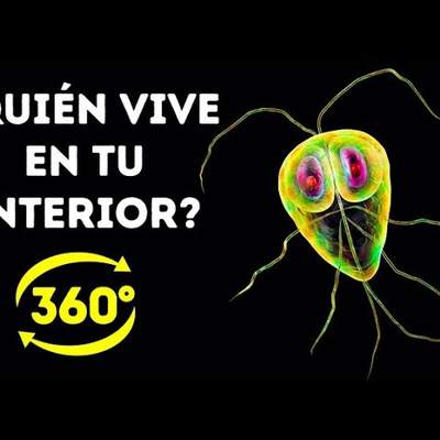 La Vida Secreta De Las Bacterias En Tu Cuerpo || 360 VR