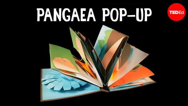 The Pangaea Pop-up - Michael Molina