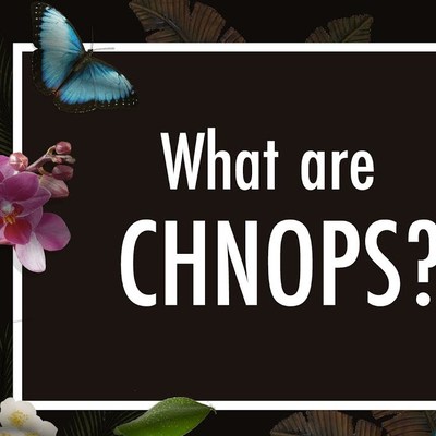 What are CHNOPS? These Chemical Elements = 98% of Life | Biology | Biochemistry