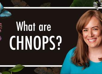 What are CHNOPS? These Chemical Elements = 98% of Life | Biology | Biochemistry