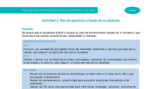 Actividad 1: Plan de ejercicios a través de la calistenia