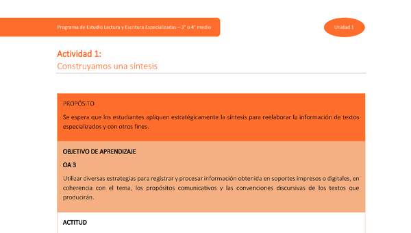 Actividad 1: Construyamos una síntesis