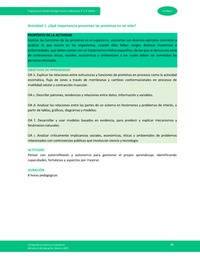 Actividad 1: ¿Qué importancia presentan las proteínas en mi vida?