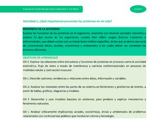 Actividad 1: ¿Qué importancia presentan las proteínas en mi vida?