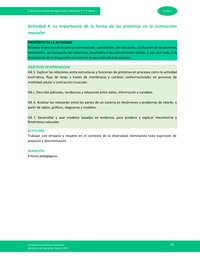 Actividad 4: La importancia de la forma de las proteínas en la contracción muscular