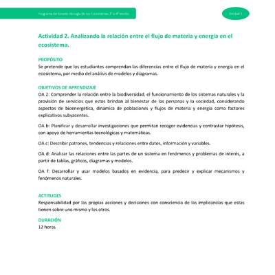 Actividad 2: Analizando la relación entre el flujo de materia y energía en el ecosistema