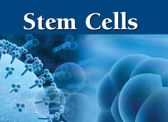 Stem Cells