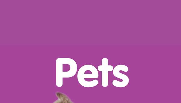 My First Playlist: Pets