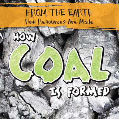 How Coal Is Formed