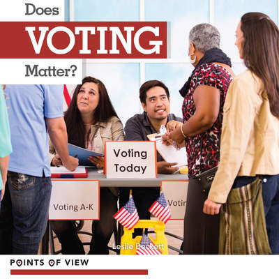 Does Voting Matter?