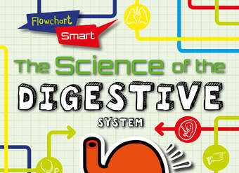 The Science of the Digestive System