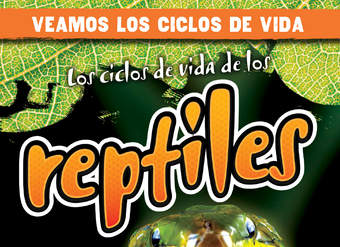 Los ciclos de vida de los reptiles (Reptile Life Cycles)