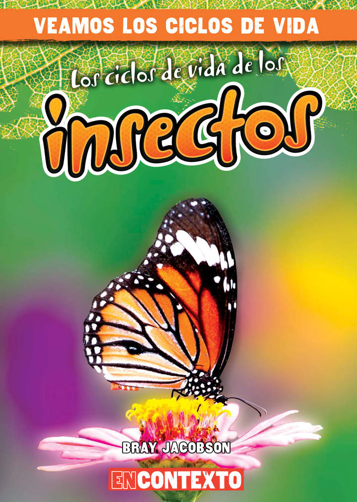 Los ciclos de vida de los insectos (Insect Life Cycles)