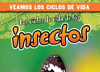 Los ciclos de vida de los insectos (Insect Life Cycles)