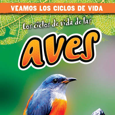 Los ciclos de vida de las aves (Bird Life Cycles)