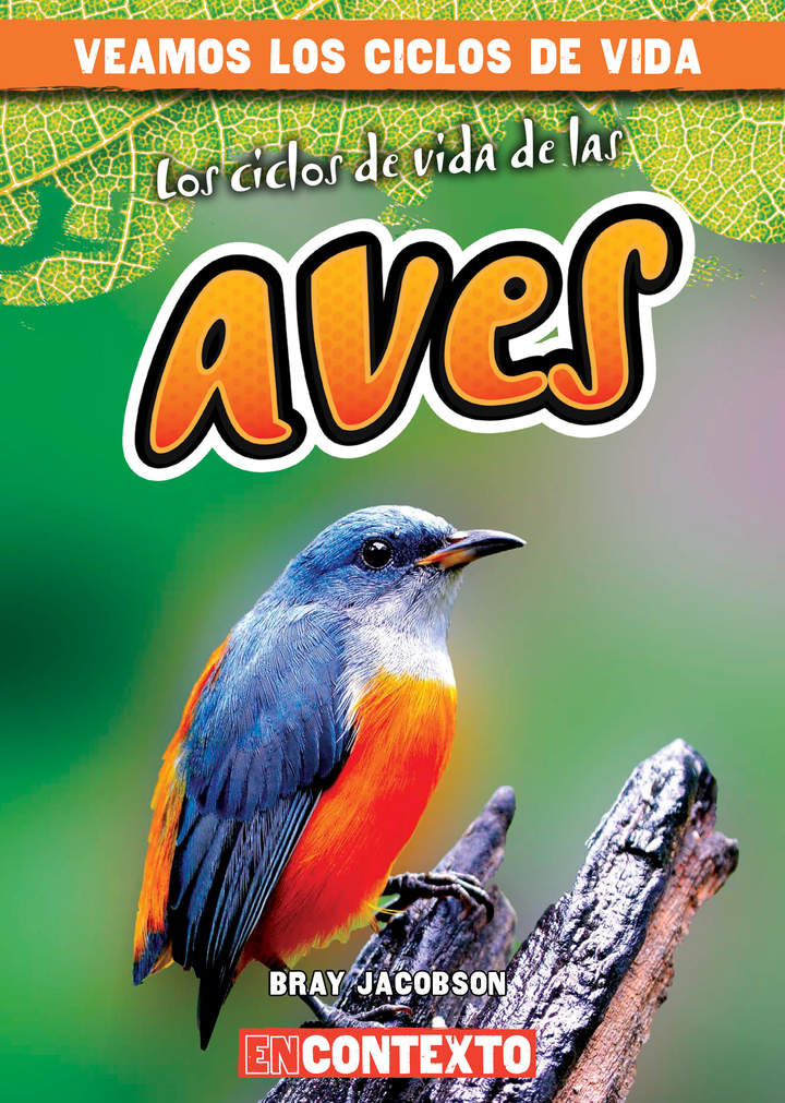 Los ciclos de vida de las aves (Bird Life Cycles)