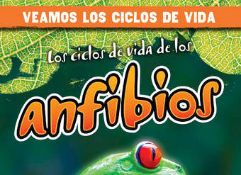 Los ciclos de vida de los anfibios (Amphibian Life Cycles)