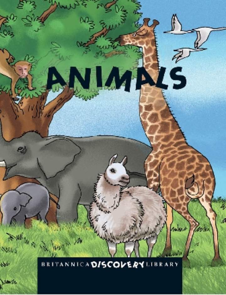 Animals