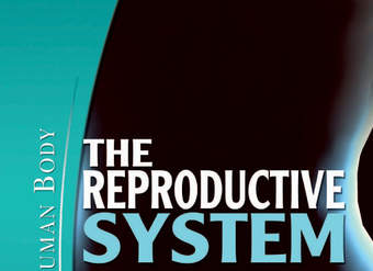 The Reproductive System