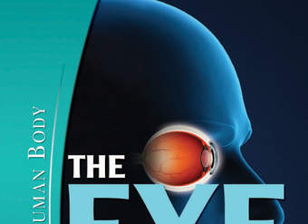 The Eye: The Physiology of Human Perception