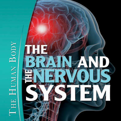 The Brain and the Nervous System