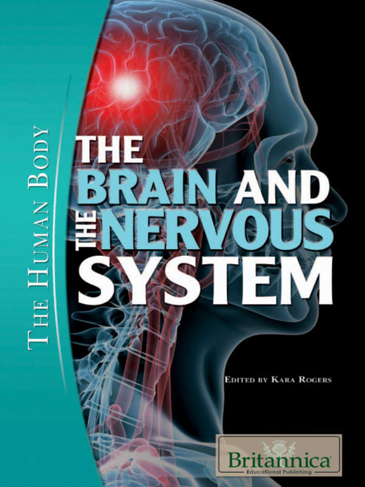 The Brain and the Nervous System