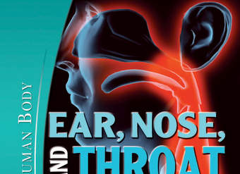 Ear, Nose, and Throat