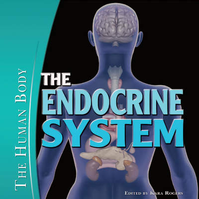 The Endocrine System