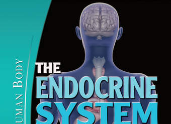 The Endocrine System