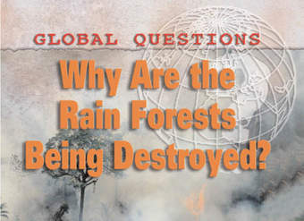 Why Are the Rain Forests Being Destroyed?