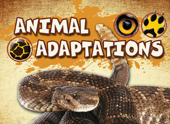 Animal Adaptations