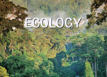 Ecology