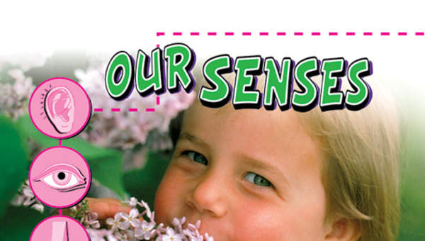 Our Senses