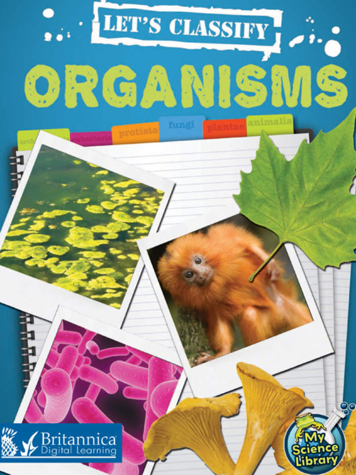 Let's Classify Organisms