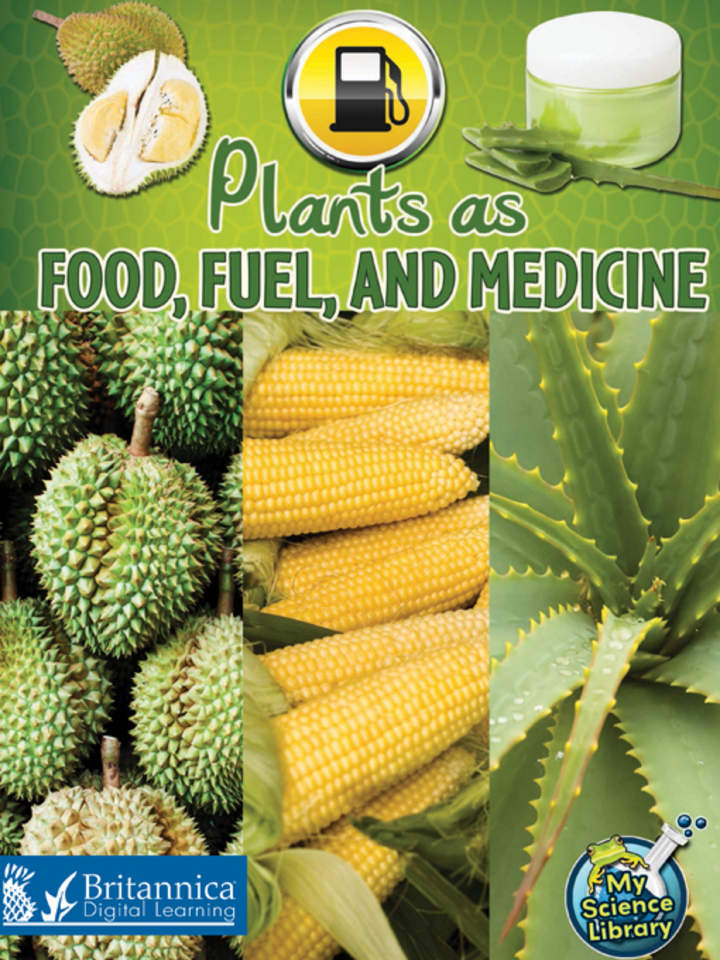 Plants as Food, Fuel, and Medicine